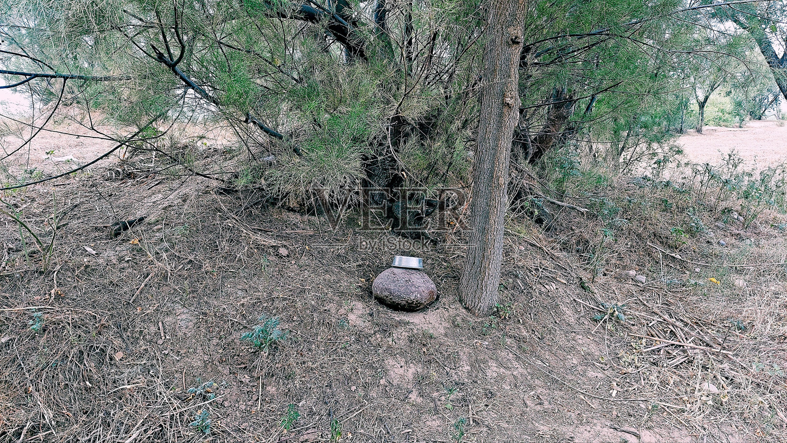 水陶罐在村路边照片摄影图片