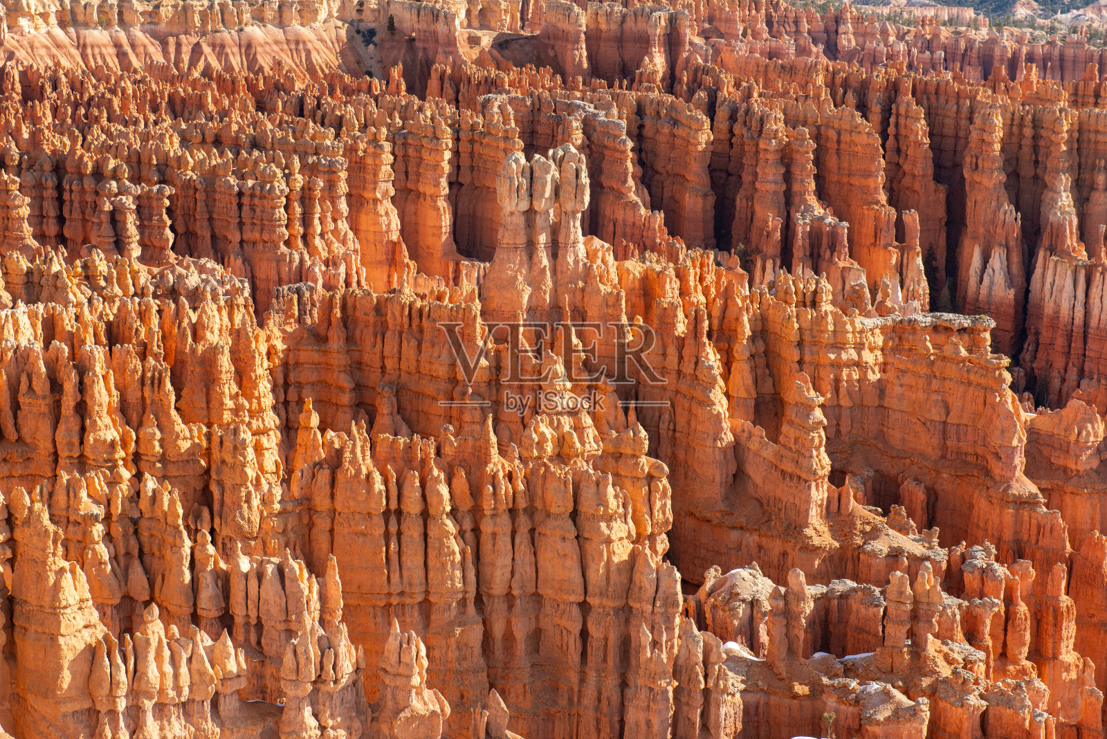 美国日落点的布莱斯峡谷石林照片摄影图片