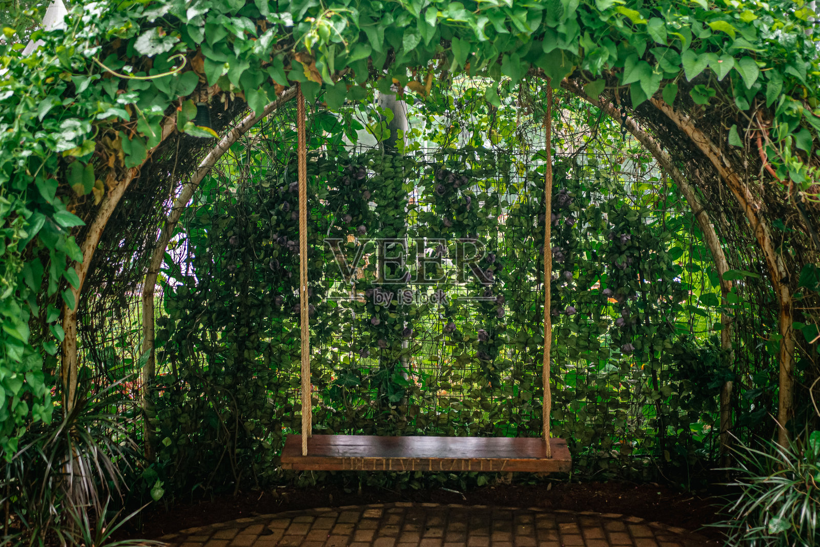 美丽花园里的秋千照片摄影图片