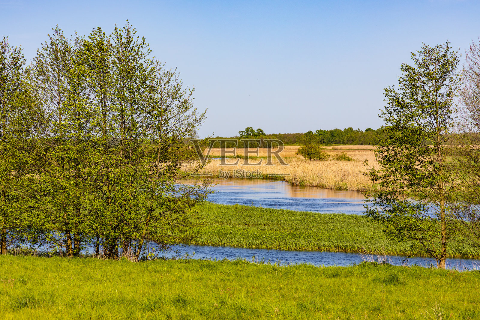 从波兰波德拉斯基地区的布尔赞村看到的比布尔扎河和比布尔赞斯基国家公园的草地湿地照片摄影图片