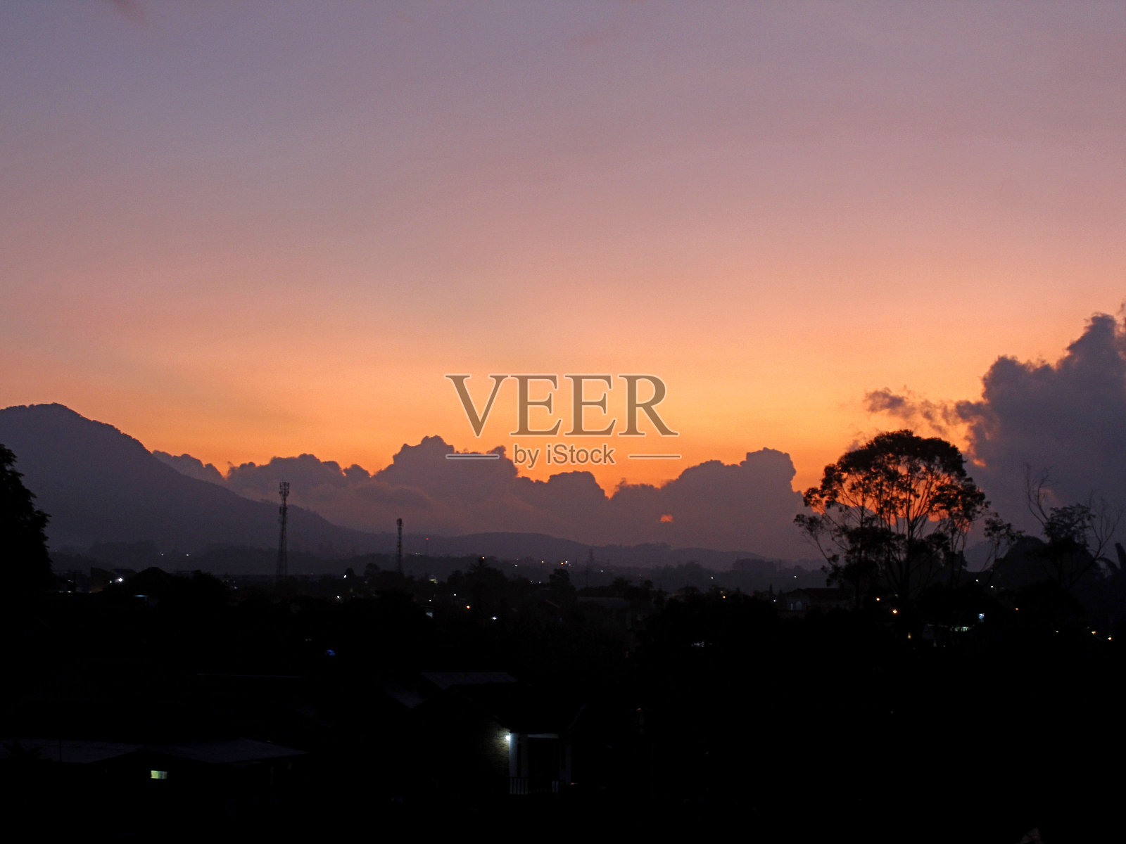 药用植物照片摄影图片