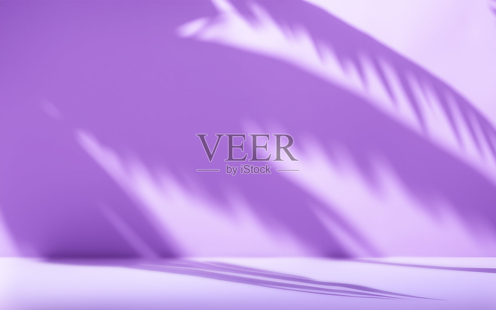 极简抽象紫色房间作为产品展示，树的阴影落在房间上照片摄影图片