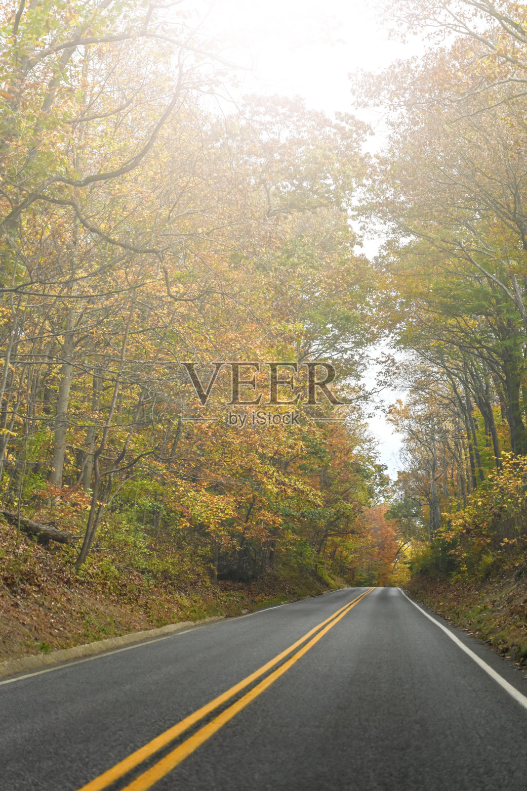 秋天的道路照片摄影图片