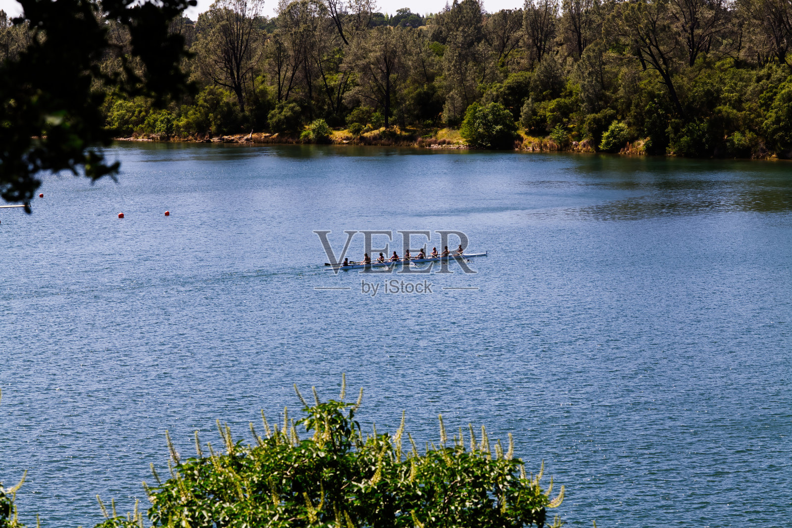 男子划船队在河岸有树的河上照片摄影图片