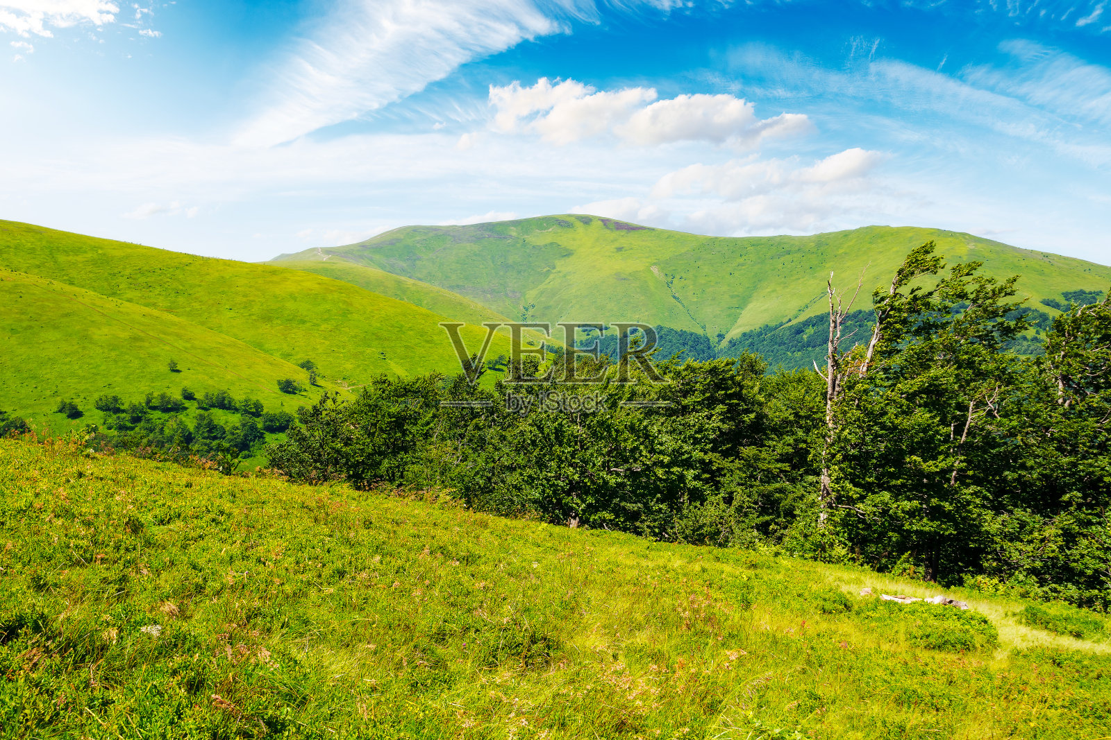 乌克兰喀尔巴阡山脉的夏季景观照片摄影图片