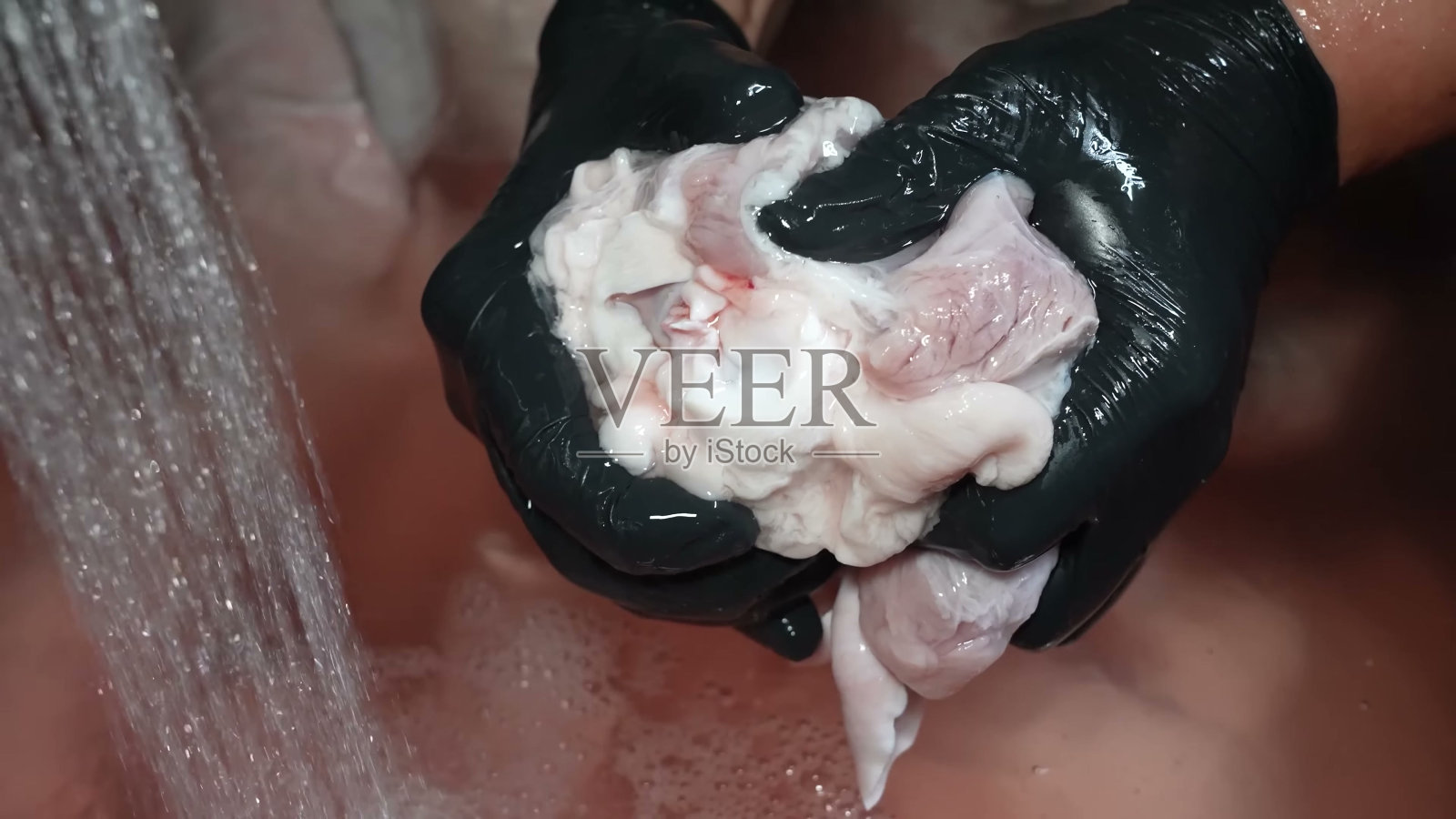 新鲜的猪腿正在准备烹饪照片摄影图片