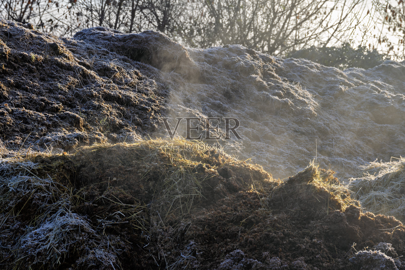 部分冰冻和冒烟的粪堆照片摄影图片