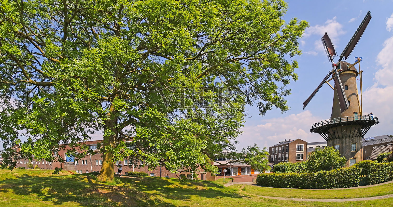 这是一个典型的荷兰风车，矗立在绿色的草地上，映衬着蓝天照片摄影图片