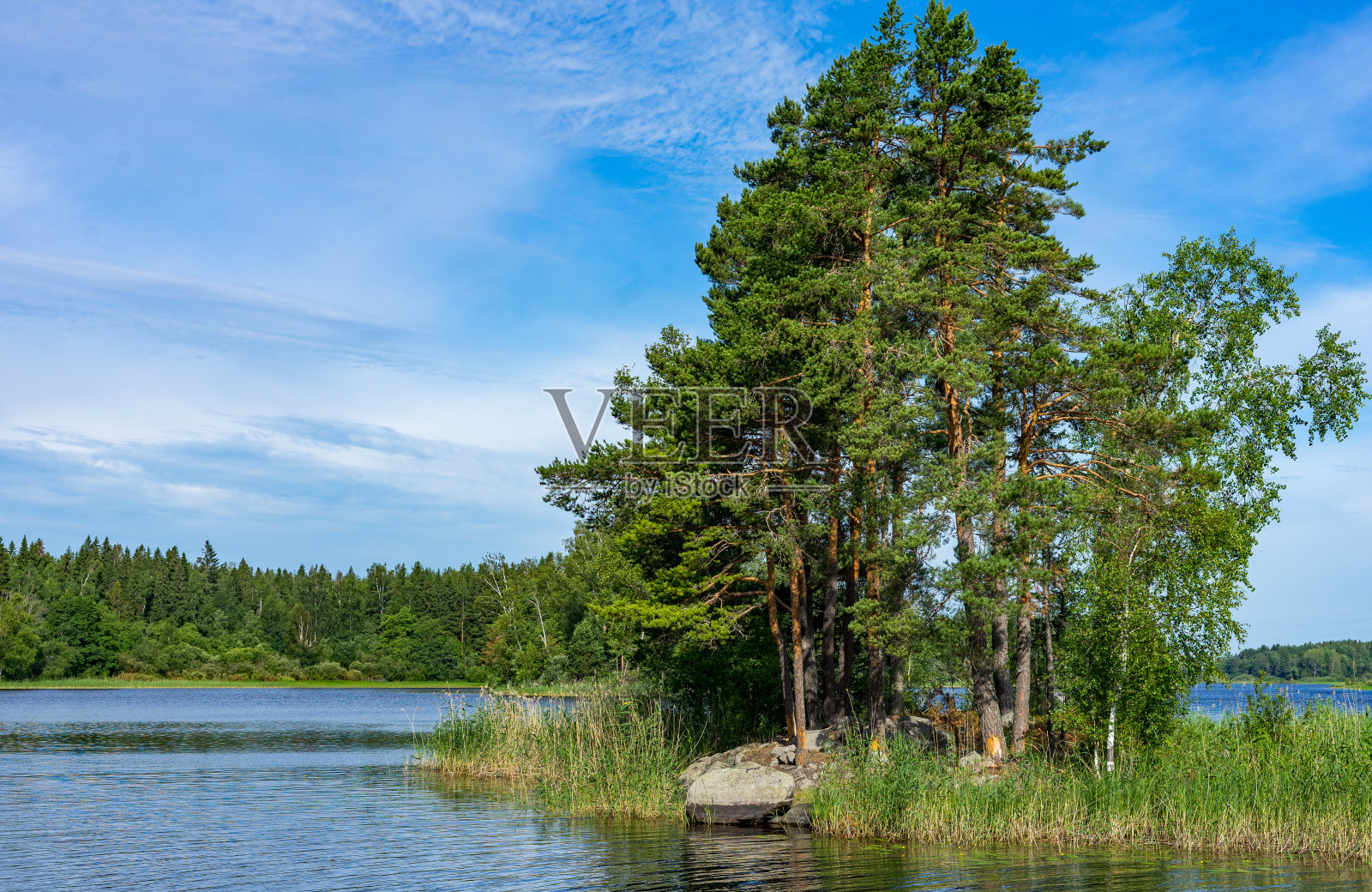 森林和湖泊景观照片摄影图片