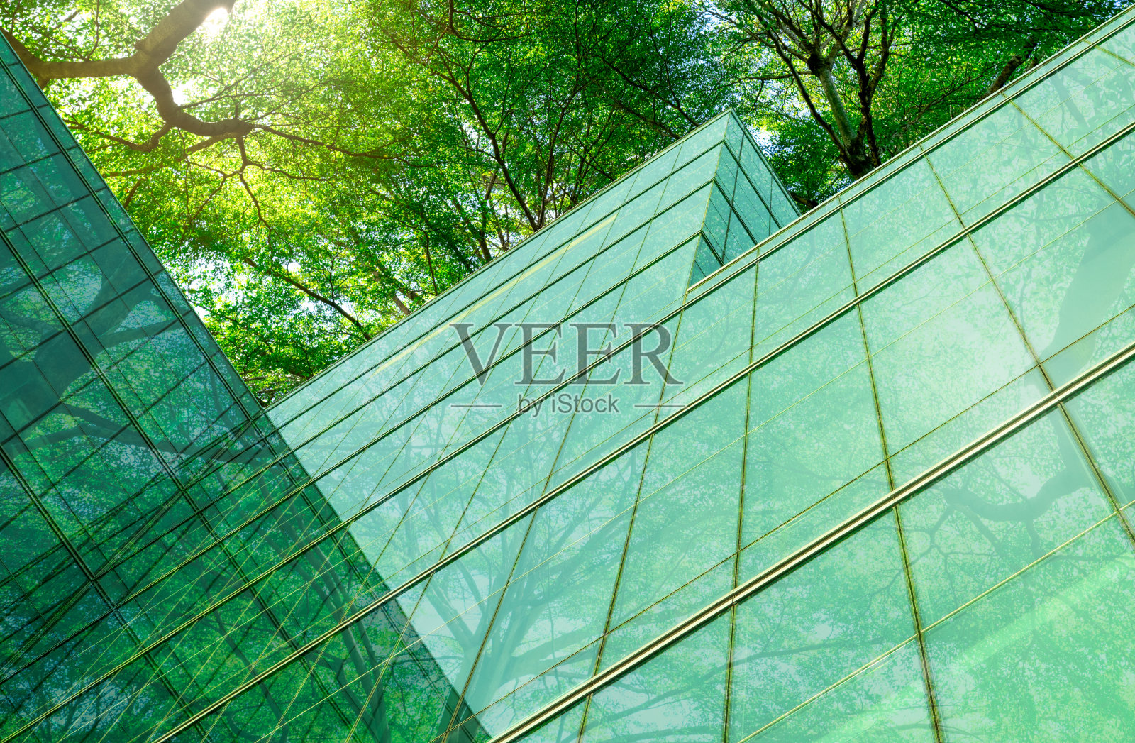 现代城市中的环保建筑。可持续玻璃办公楼，树木减少二氧化碳。绿色办公大楼。公司建筑减少二氧化碳。净零排放照片摄影图片