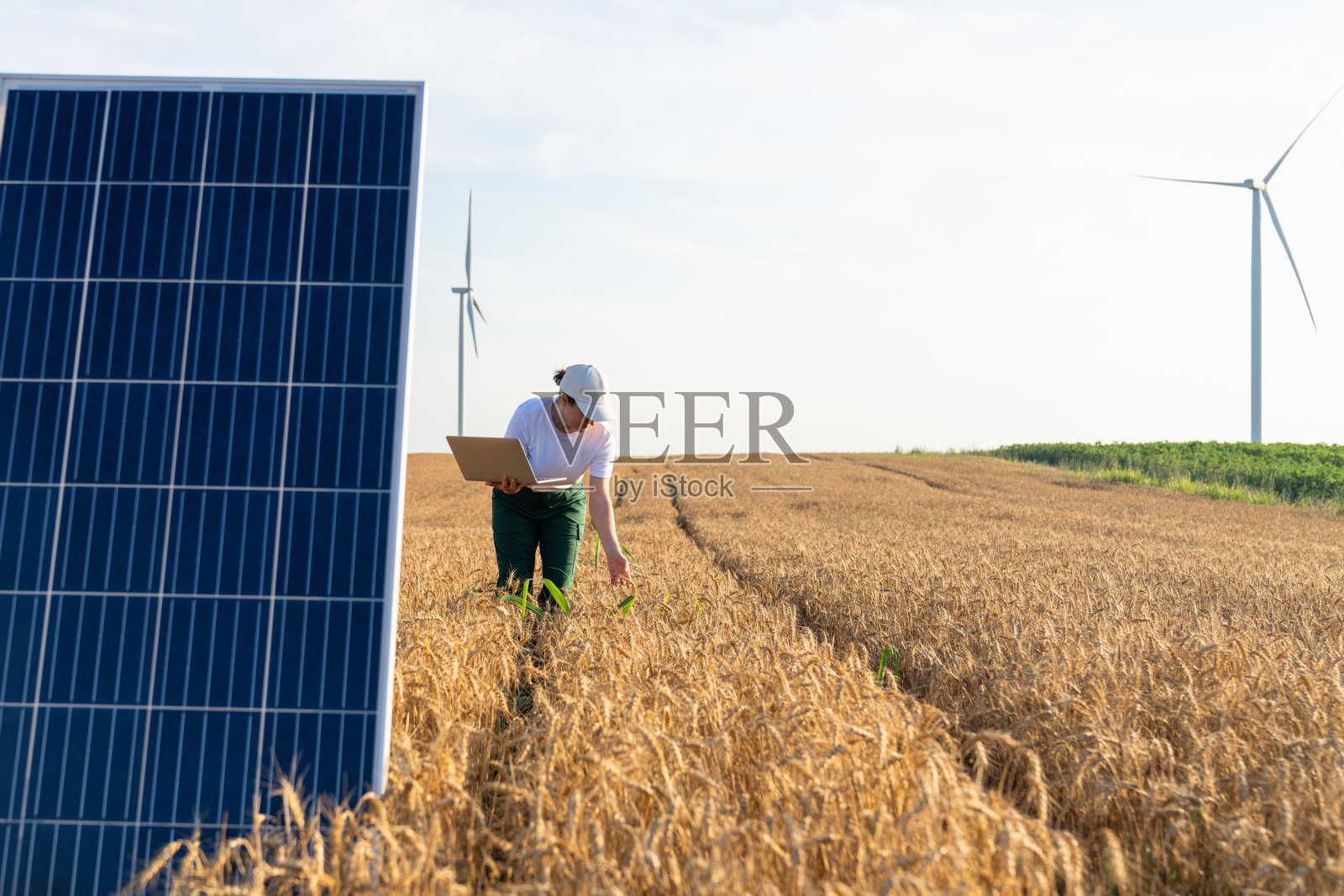 戴着白色帽子和t恤的农民妇女拿着笔记本电脑在太阳能电池板旁工作。背景是风力涡轮机照片摄影图片