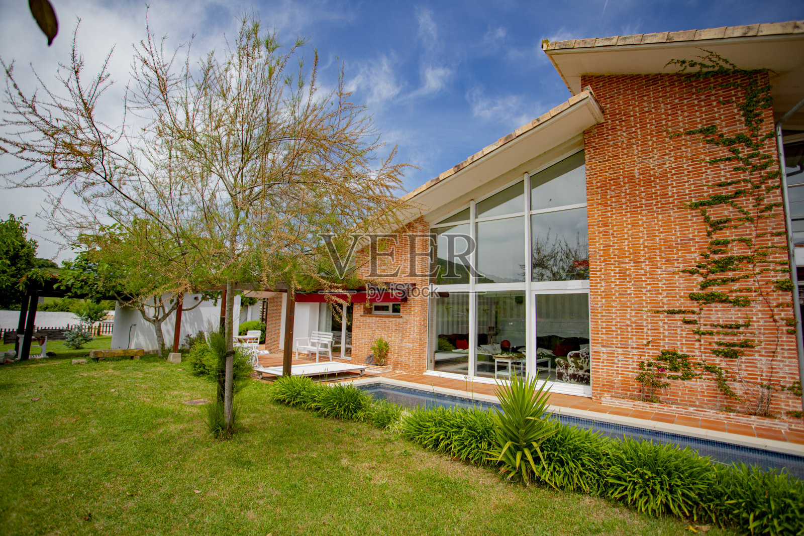 现代豪华别墅，游泳池和休闲区，周围的树木和植物。照片摄影图片