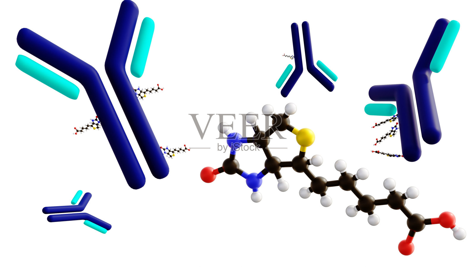 生物素化抗体3D效果图照片摄影图片