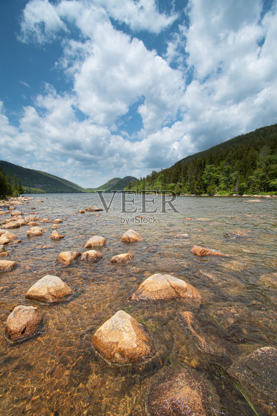 约旦池塘小径，阿卡迪亚国家公园照片摄影图片