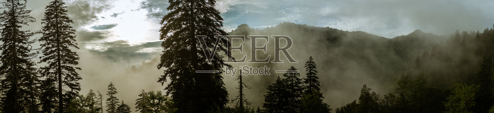 清晨日出时烟雾山国家公园雾蒙蒙的森林全景照片摄影图片