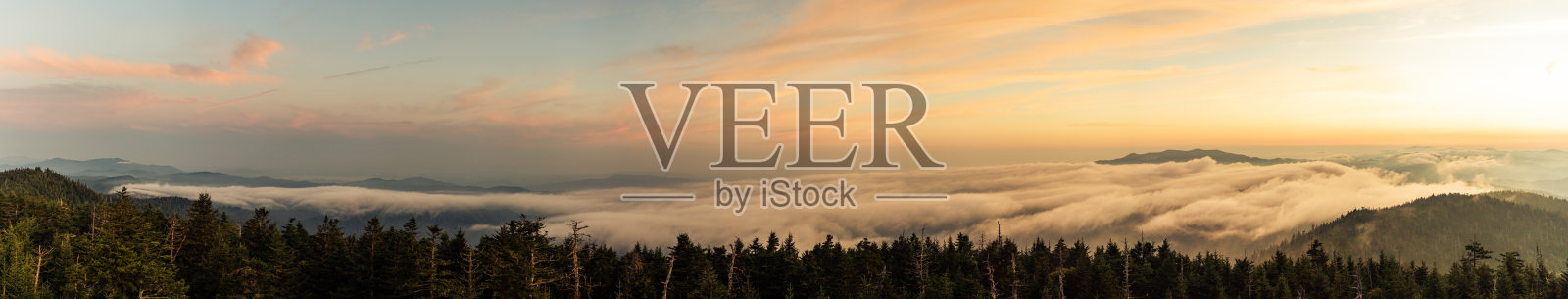 清晨日出时，烟雾山国家公园的迷雾山全景图照片摄影图片