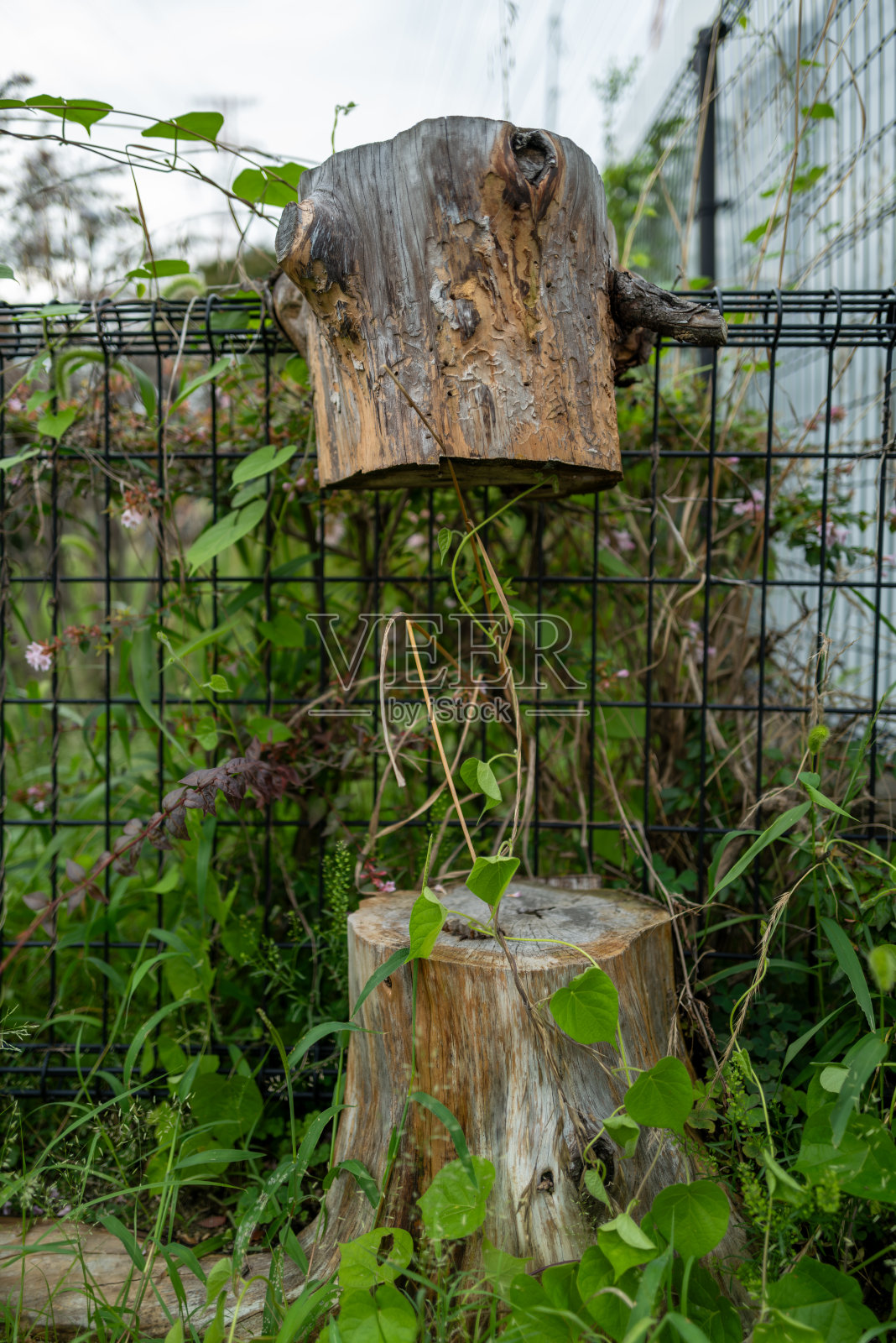 栅栏和浮桩材料照片摄影图片