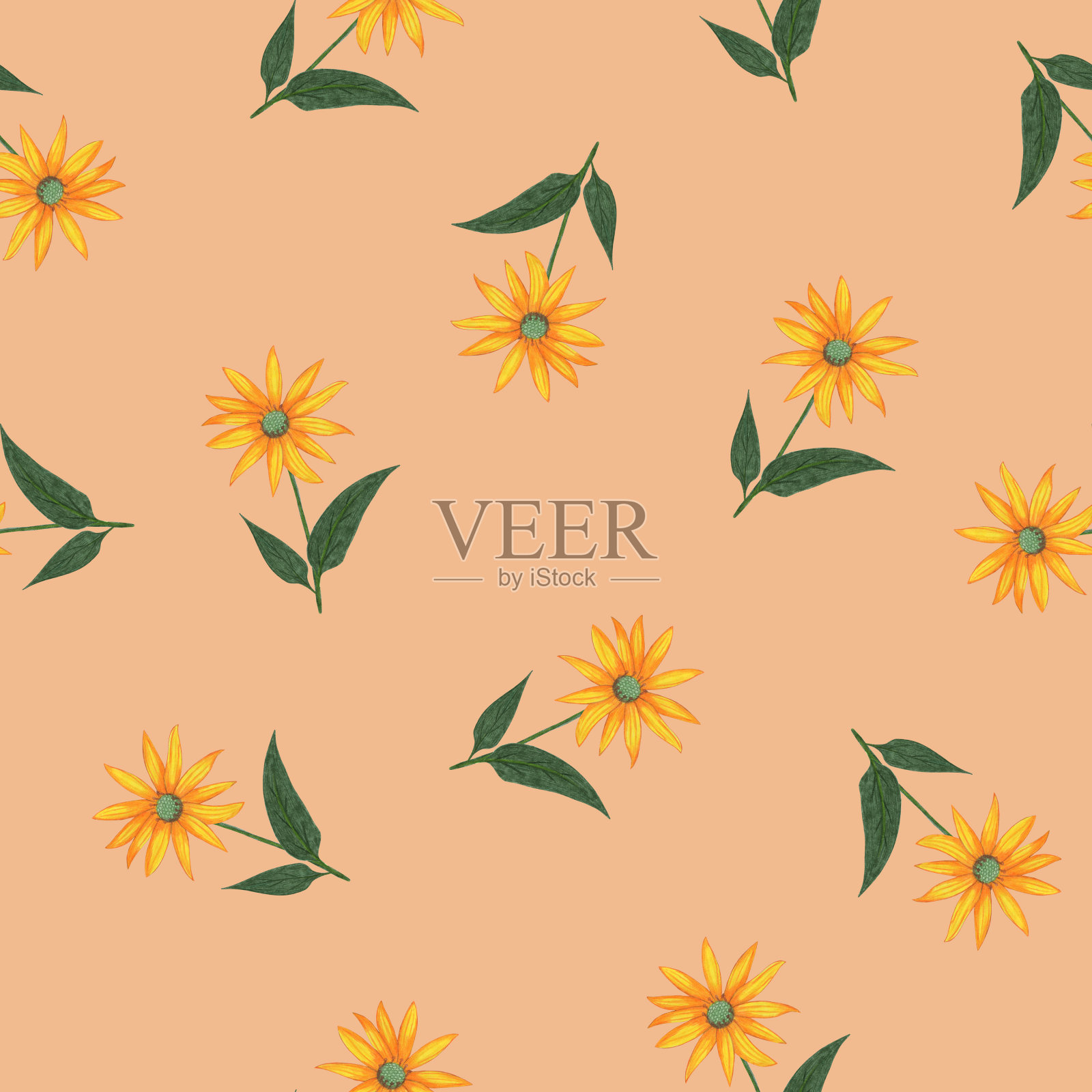 Topinambur花无缝图案。花卉数码纸。插画图片素材
