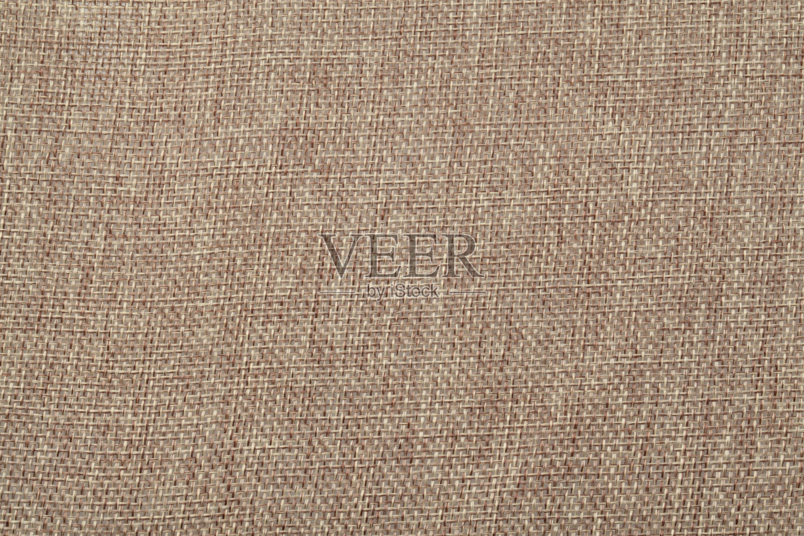 姜是姜科的多年生植物。照片摄影图片