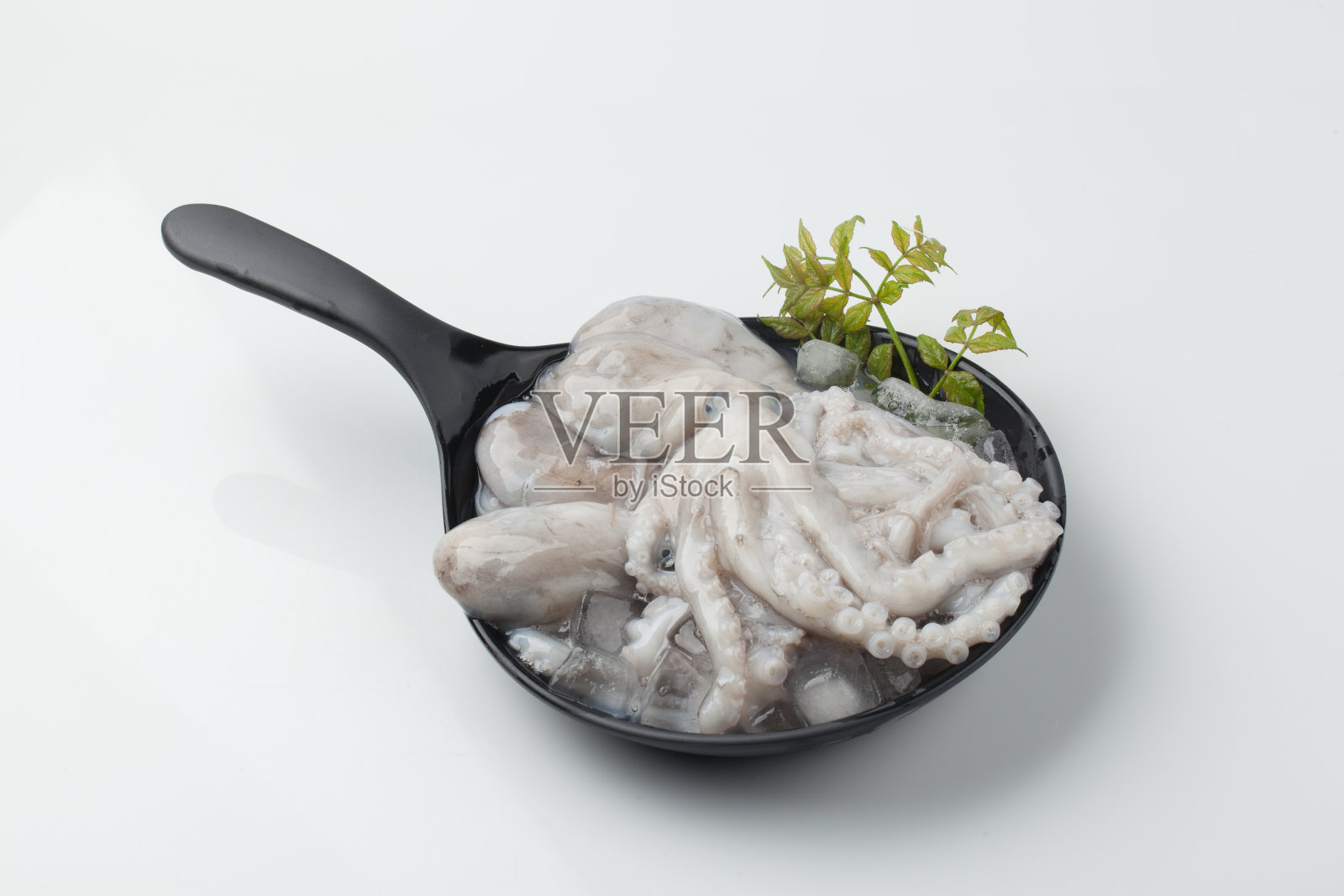 章鱼是软体动物照片摄影图片