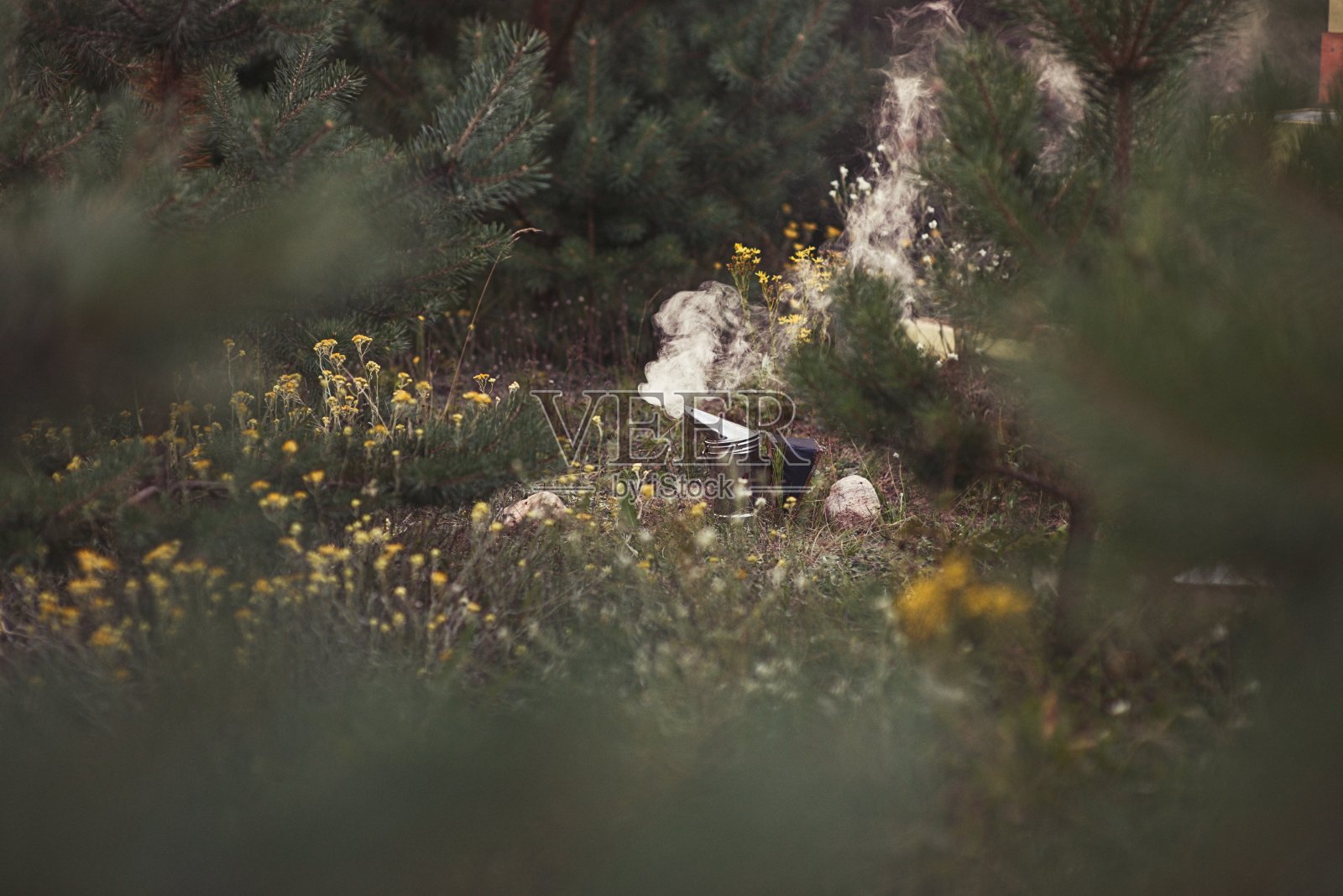 养蜂人在养蜂场处理蜜蜂和蜂箱。照片摄影图片