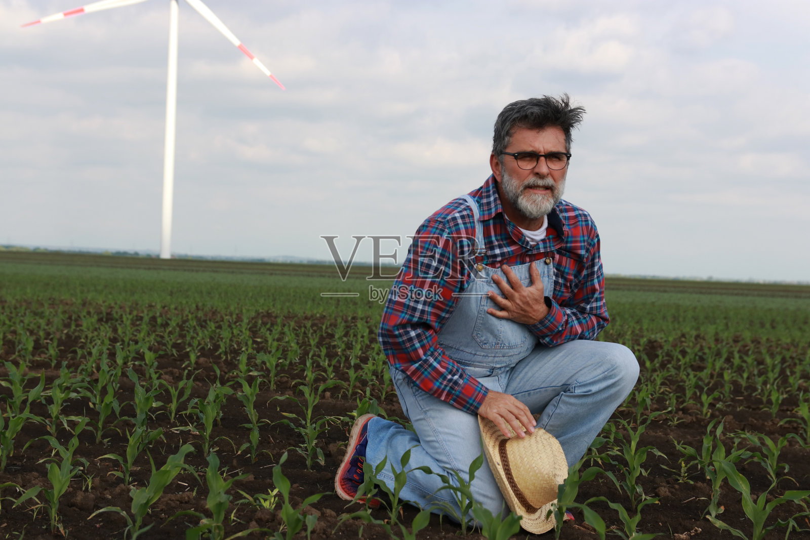 心脏病照片摄影图片