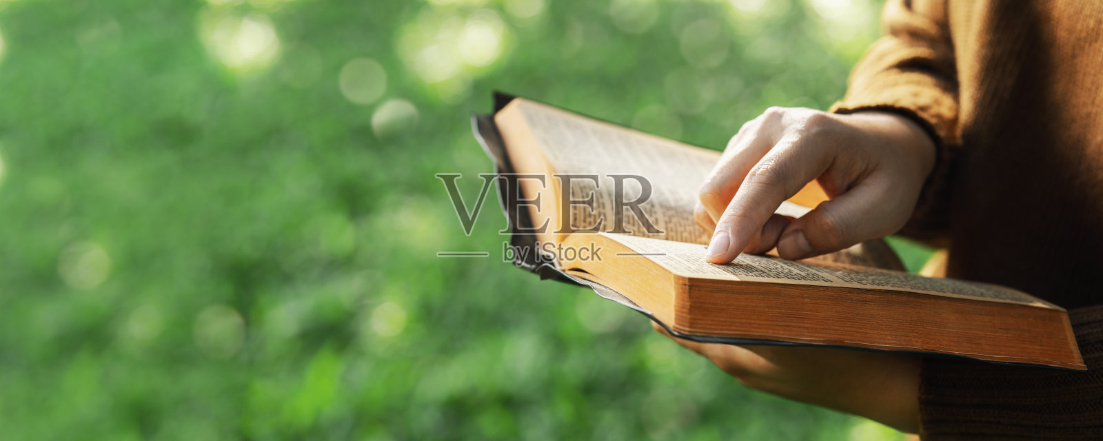 阅读圣经并祈祷上帝祝福的概念：与上帝同在，在宁静的自然中获得疗愈照片摄影图片