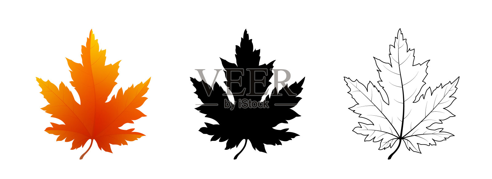红色的枫叶，黑色的剪影和轮廓插画图片素材