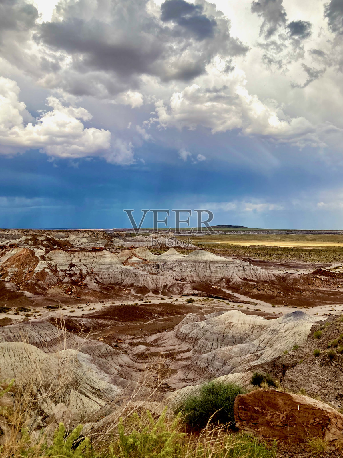 美国亚利桑那州石化森林国家公园的风暴照片摄影图片