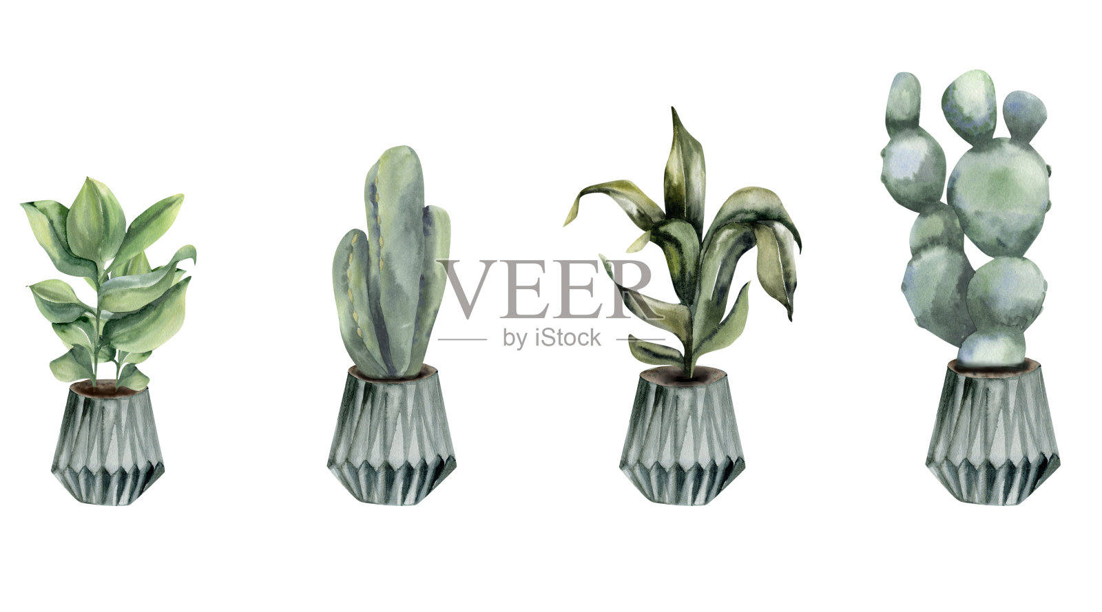 盆栽绿色家庭植物:仙人掌，绿叶，灰色陶瓷花盆中的mostera。手绘城市丛林棕榈与绿叶盆栽在容器中的房屋装饰，室内设计在波西米亚自然风格插画图片素材