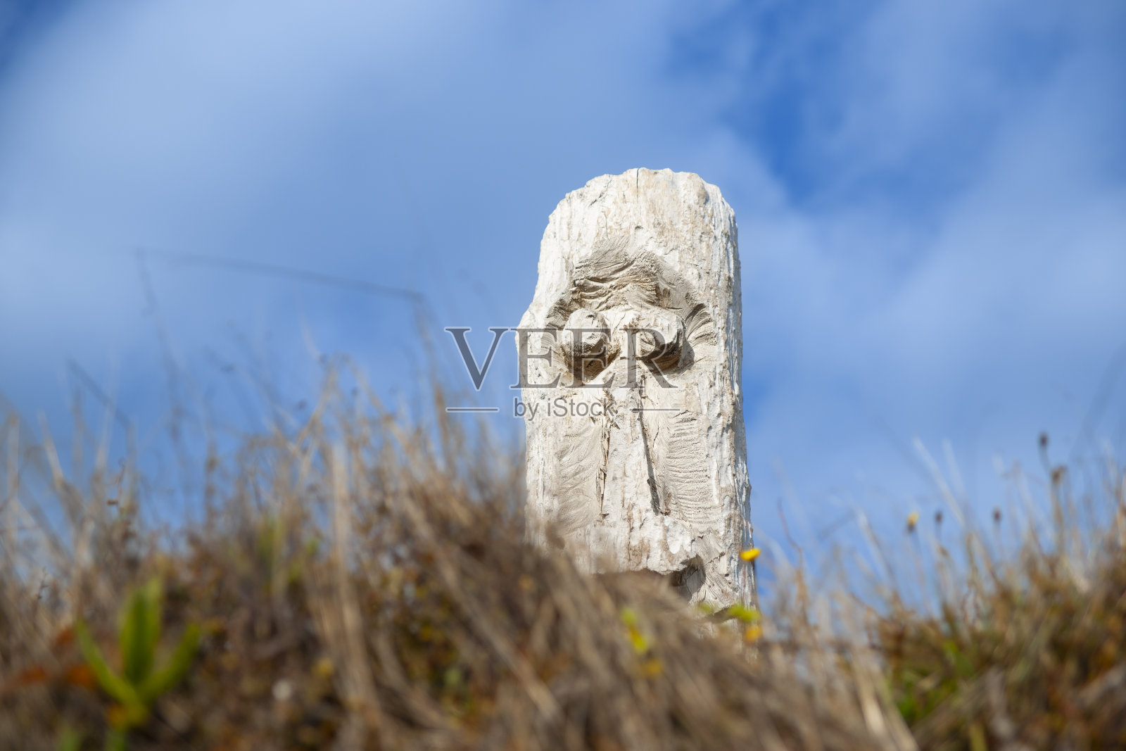 奥霍普沙丘上的浮木图腾。照片摄影图片
