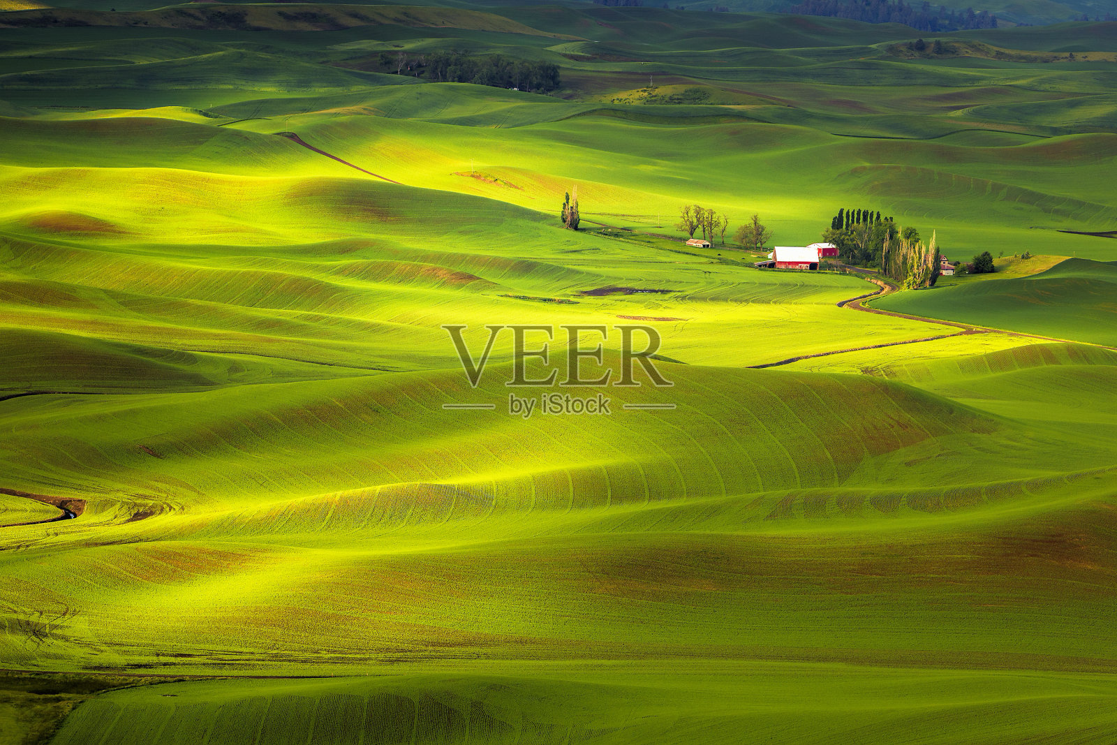 帕卢斯丘陵照片摄影图片