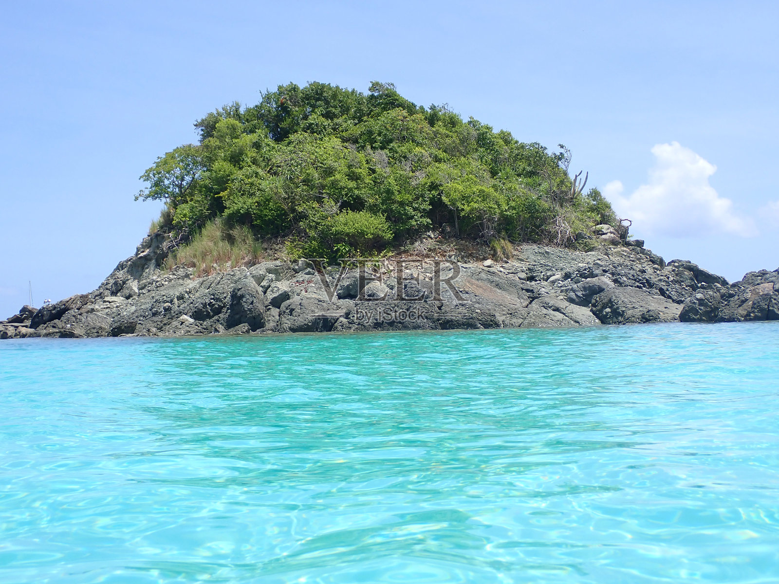 树干湾照片摄影图片