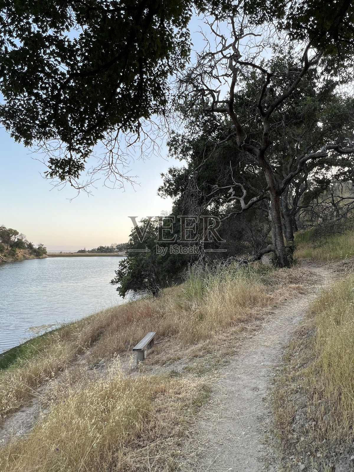 加州索诺玛县的山麓地区公园照片摄影图片