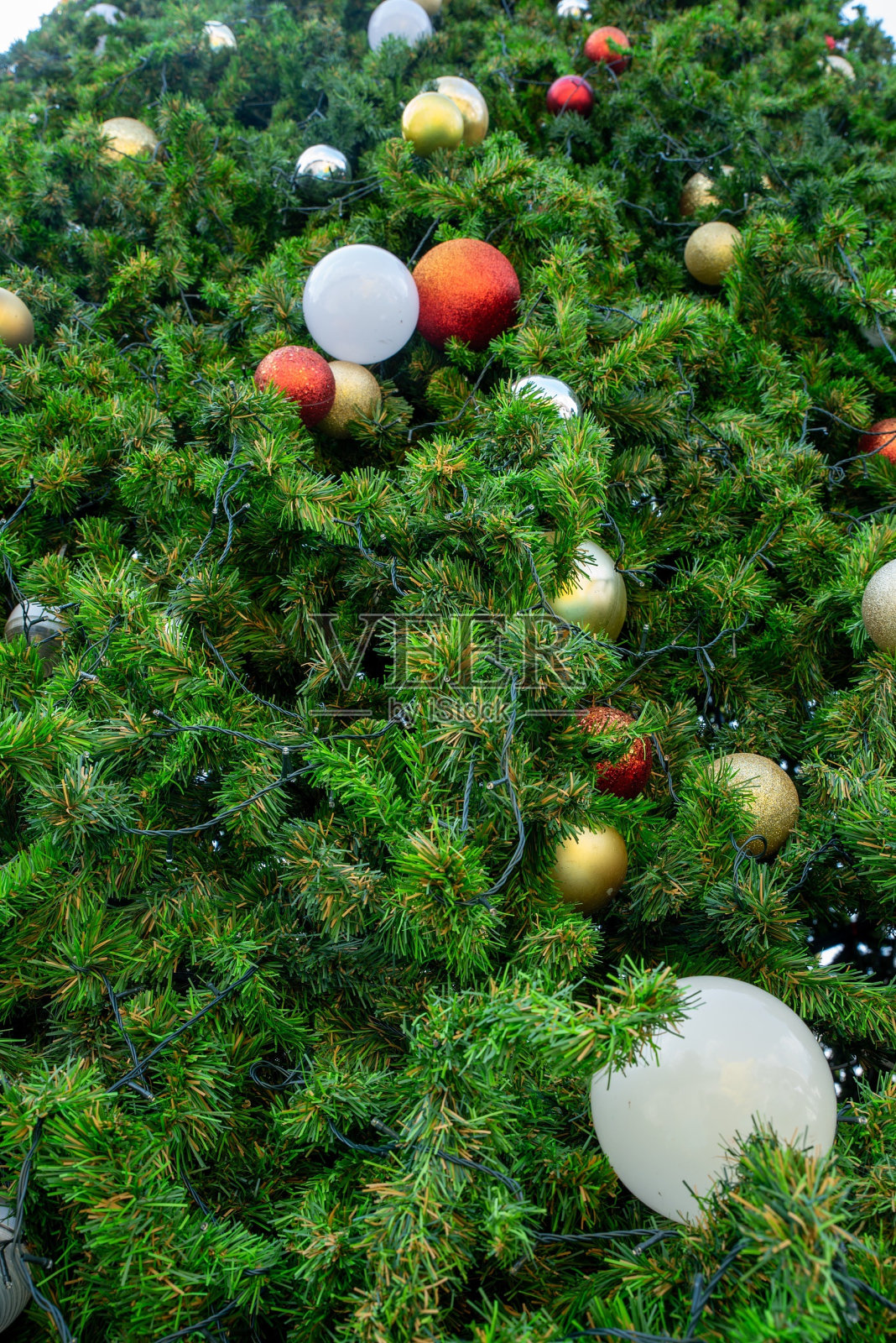 圣诞树的特写照片摄影图片