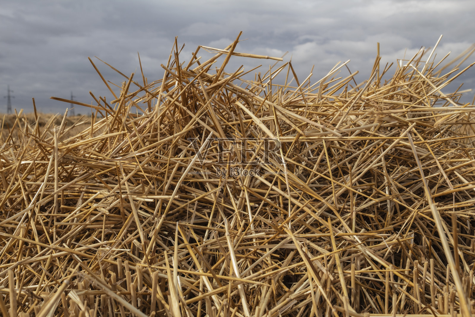 景观-森林-欧洲，罗马尼亚照片摄影图片
