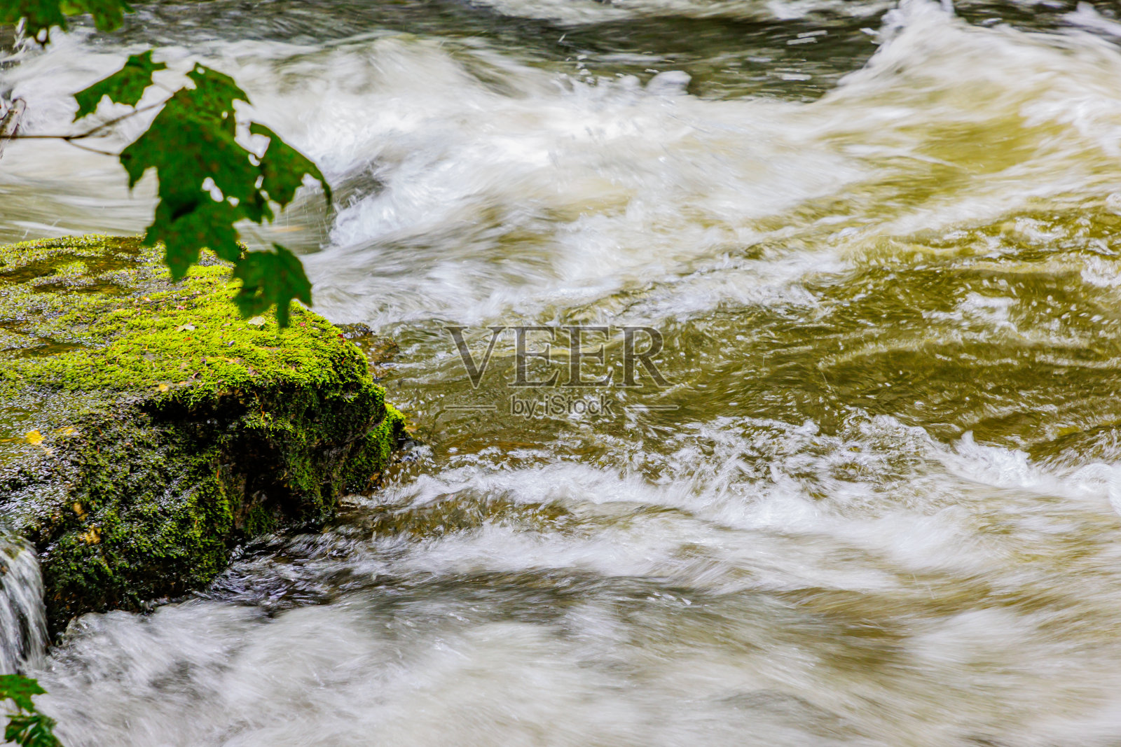 沃彻山谷中溢流的河水特写照片摄影图片