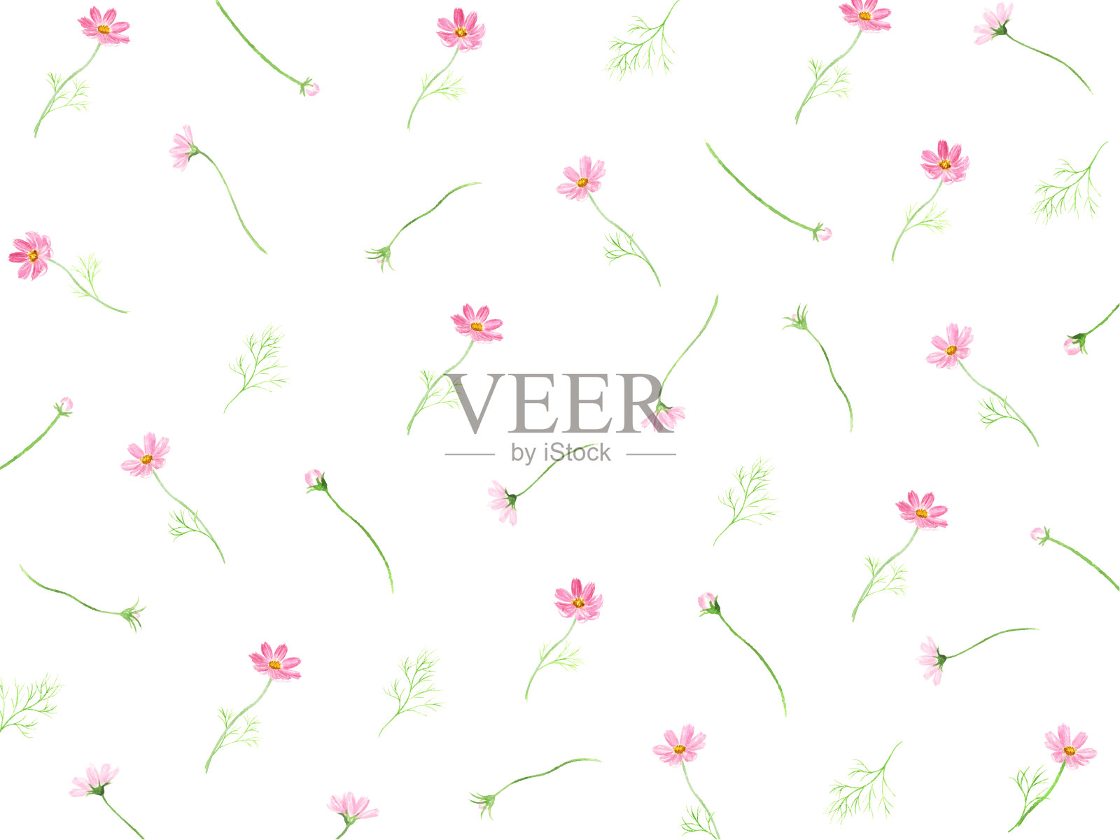 用水彩画的宇宙花图案插画图片素材