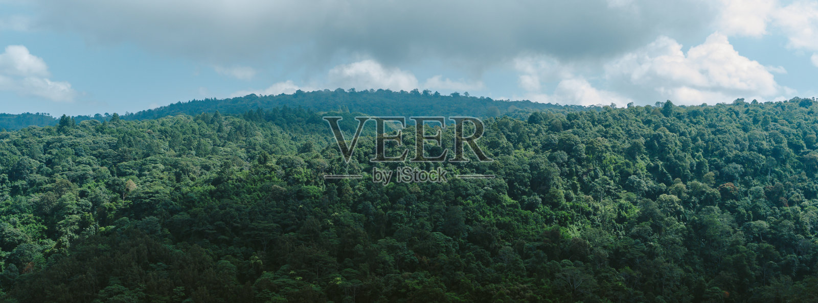 蓝天下，绿林青山尽收眼底，宁静葱郁的自然景观，完美的自然，环保，生态友好的理念。照片摄影图片