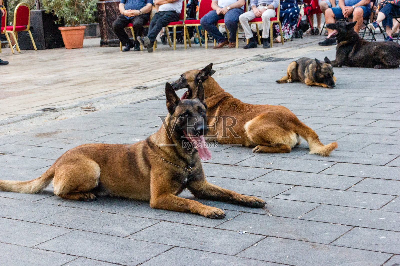 2024年警务展览照片摄影图片