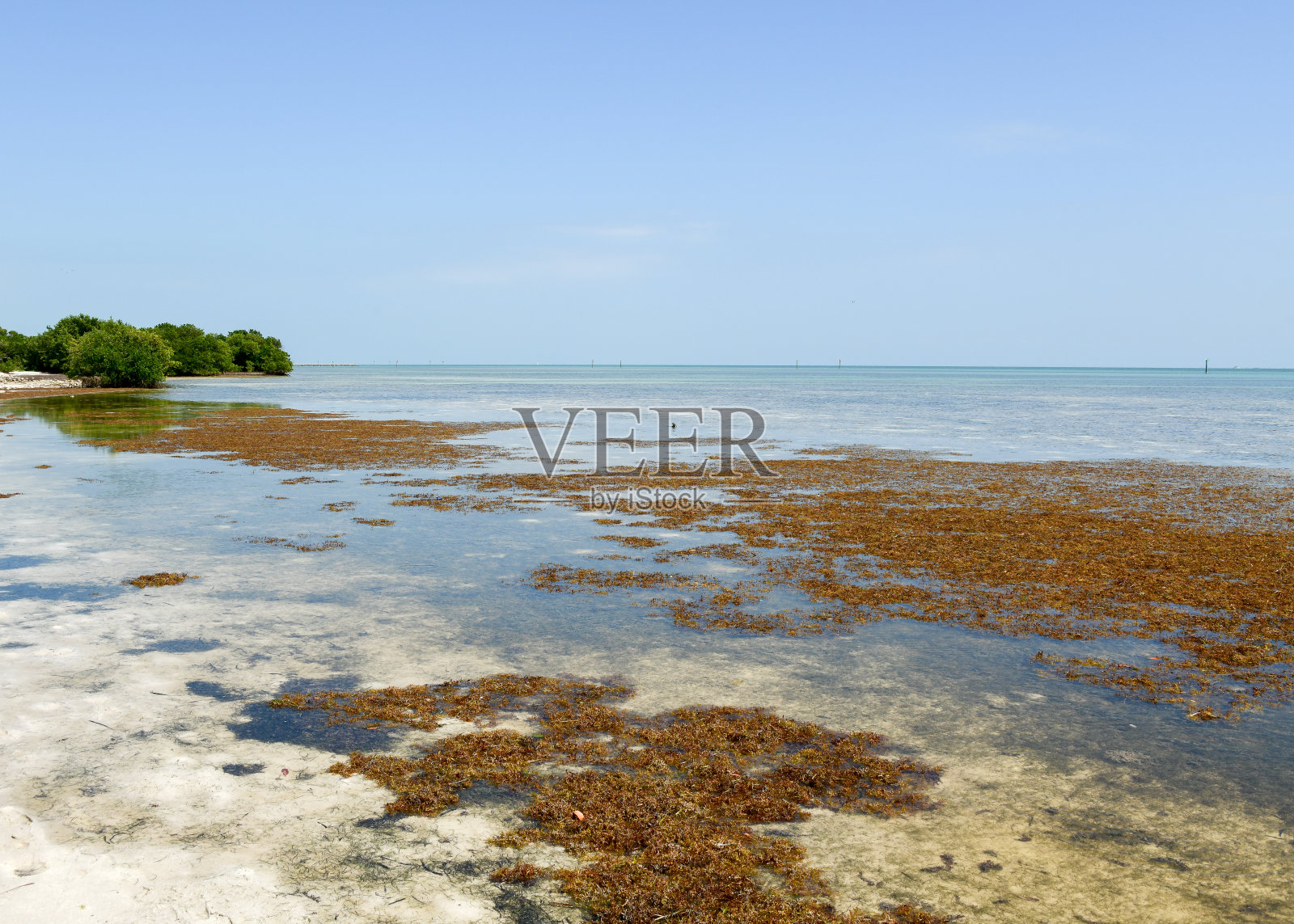 佛罗里达州安妮海滩照片摄影图片