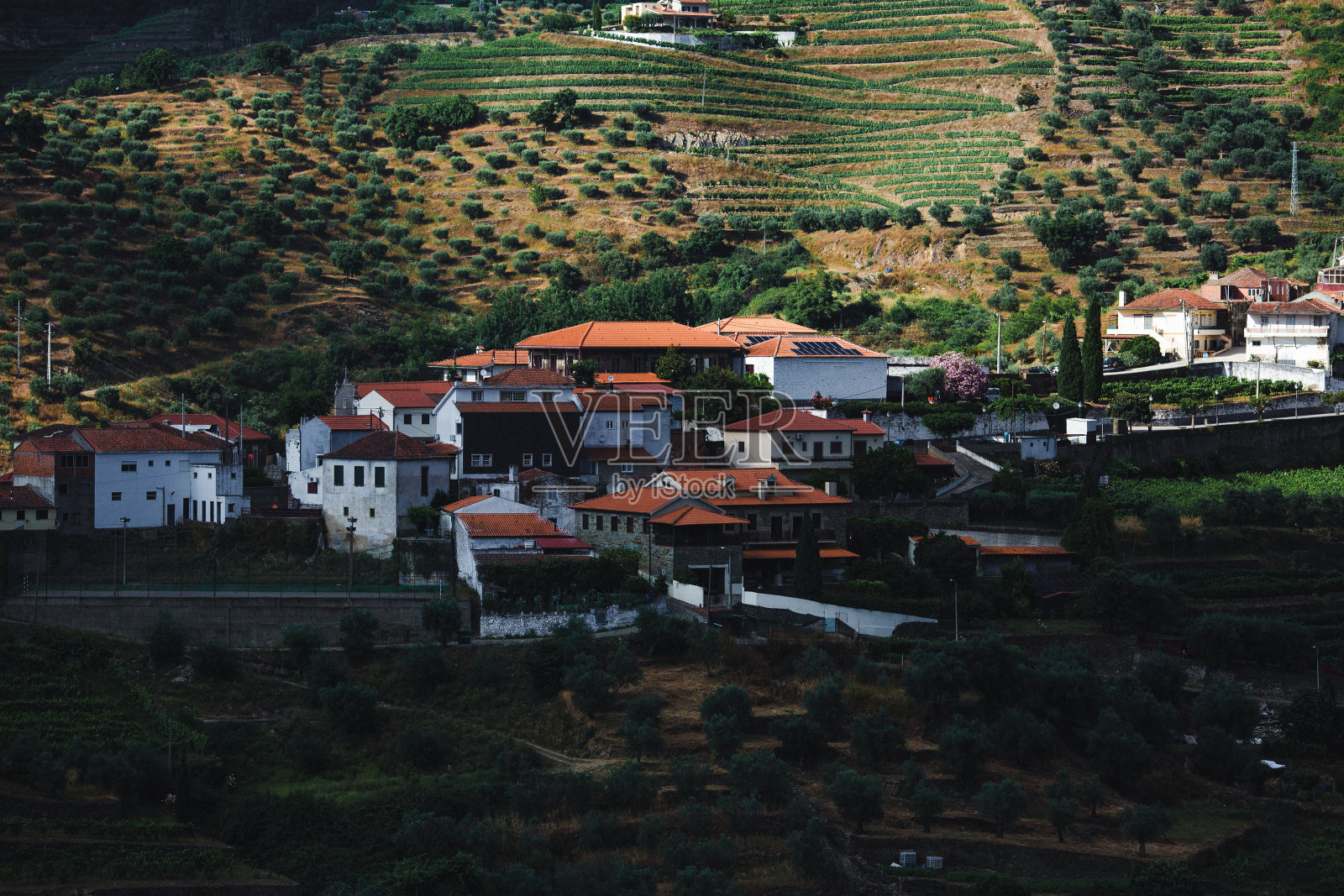 葡萄牙杜罗河谷的景色，在山坡上的梯田葡萄园中坐落着迷人的乡村房屋。照片摄影图片