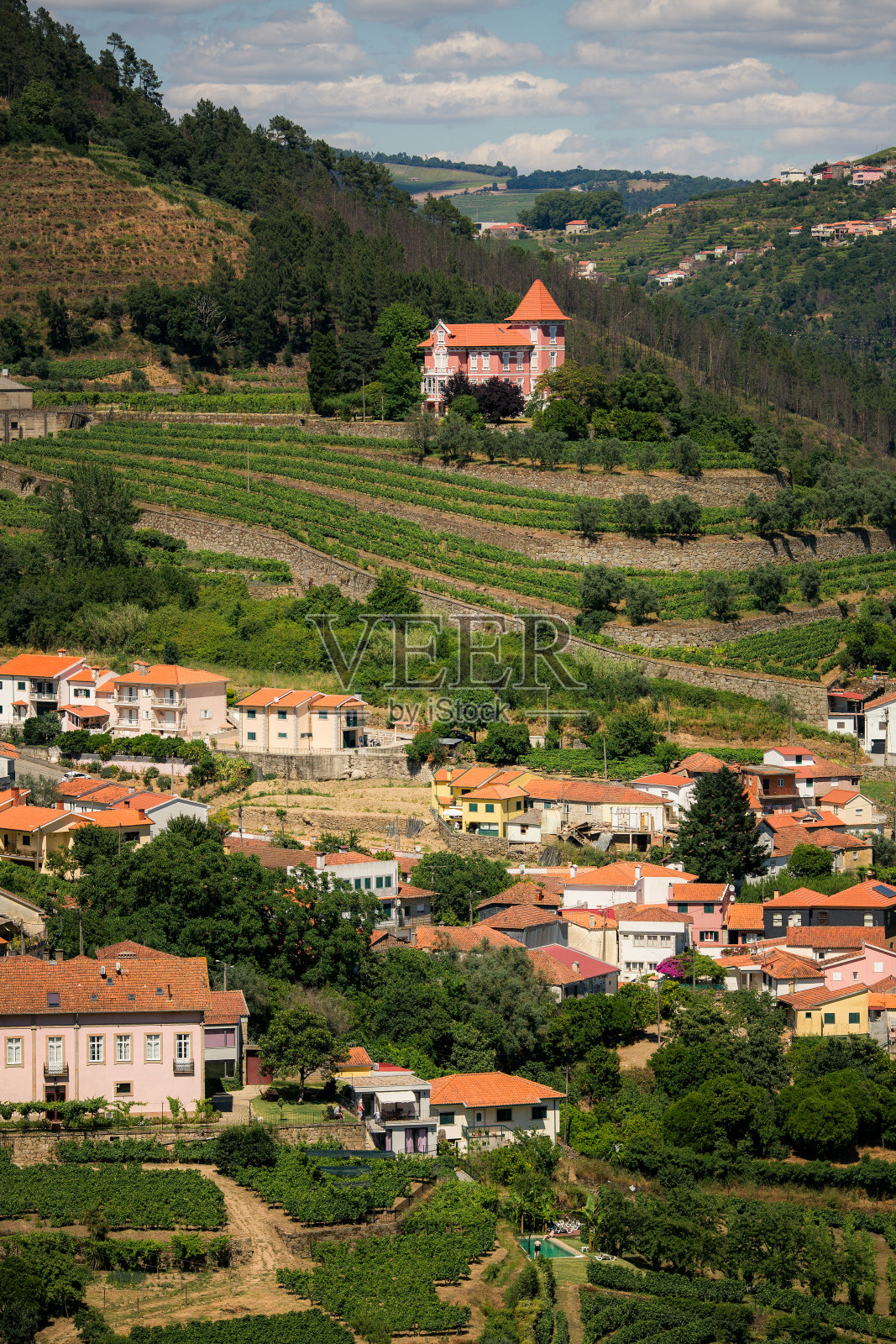 葡萄牙杜罗河谷的一个村庄里，带有葡萄园的房屋和建筑。照片摄影图片