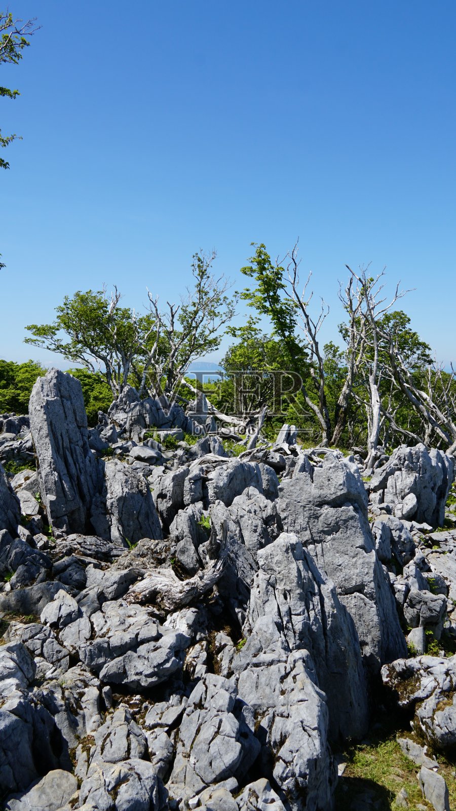 初夏青山绿水照片摄影图片