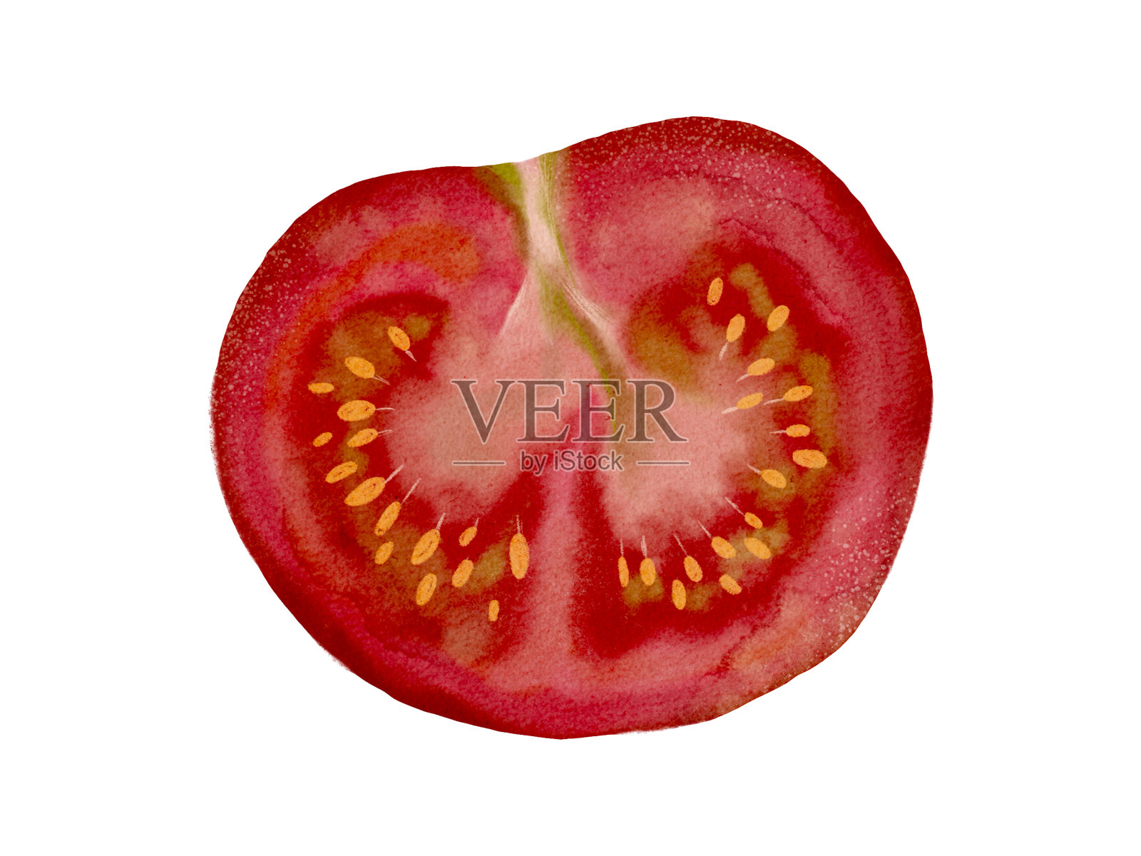 新鲜的有机番茄适合健康烹饪，素食，营养丰富，色彩鲜艳插画图片素材