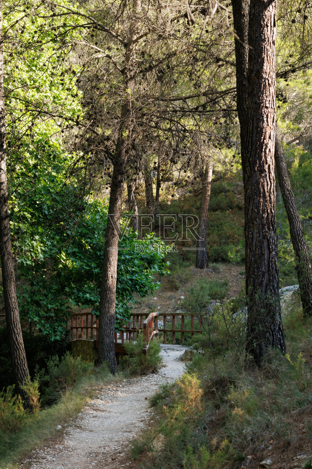 在Sierra de Mariola自然公园的fontdel Hortet del Pobre桥旁的小路照片摄影图片