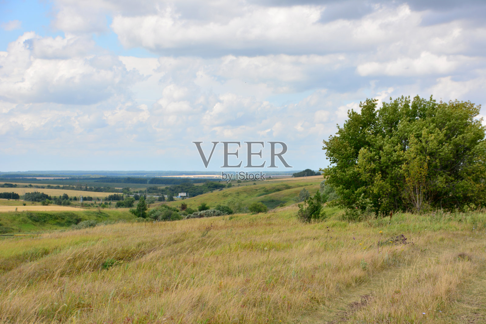 田地右边有一棵苹果树，天空布满了云照片摄影图片