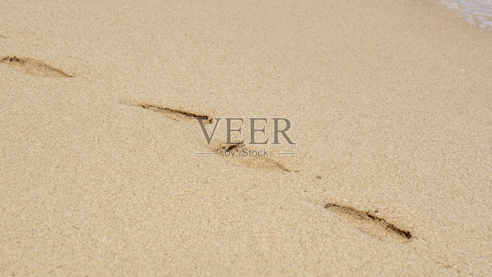 褐色沙滩上的人类脚印照片摄影图片