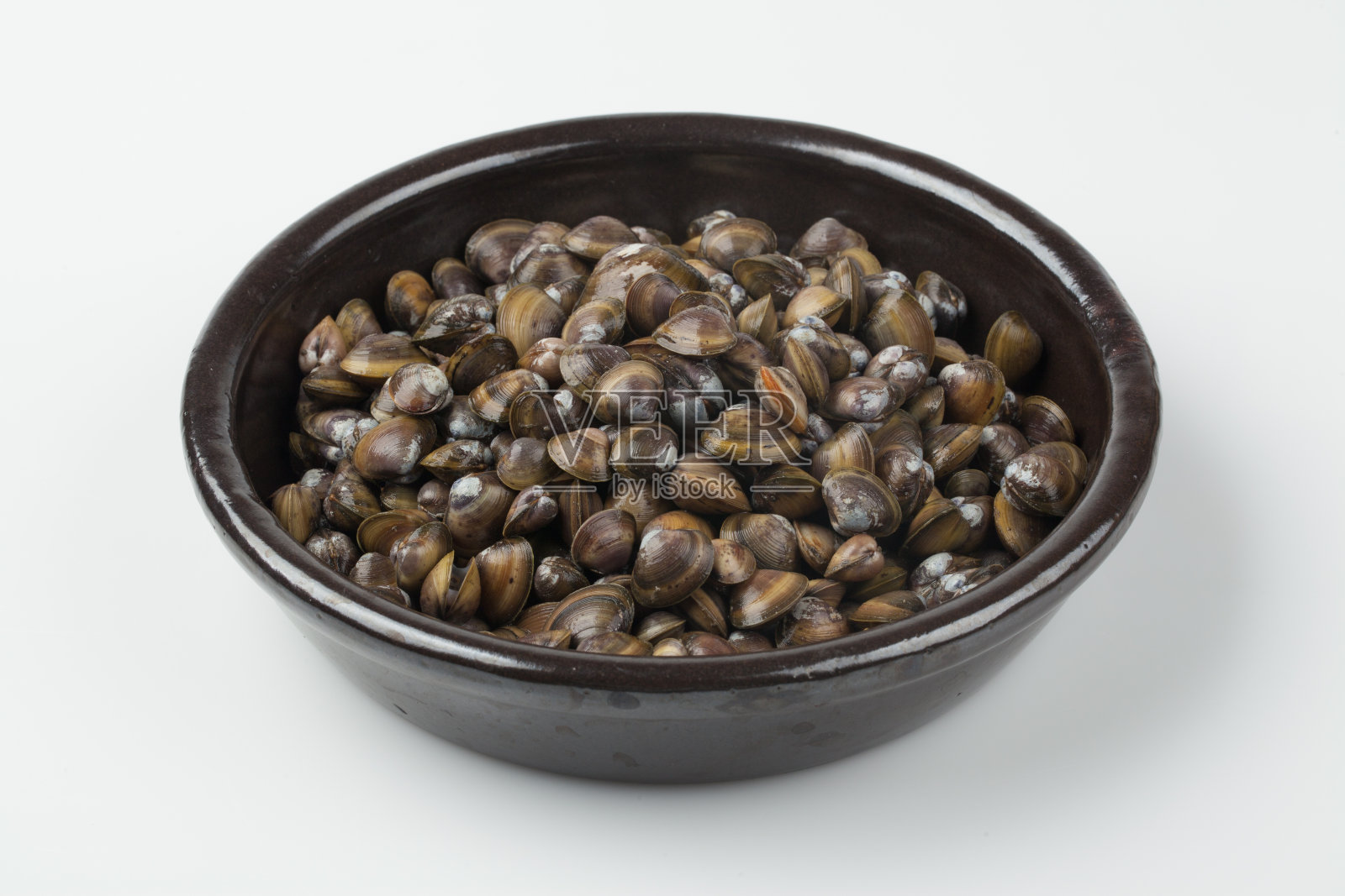 蛤蜊配蛤蜊和蛤蜊。照片摄影图片