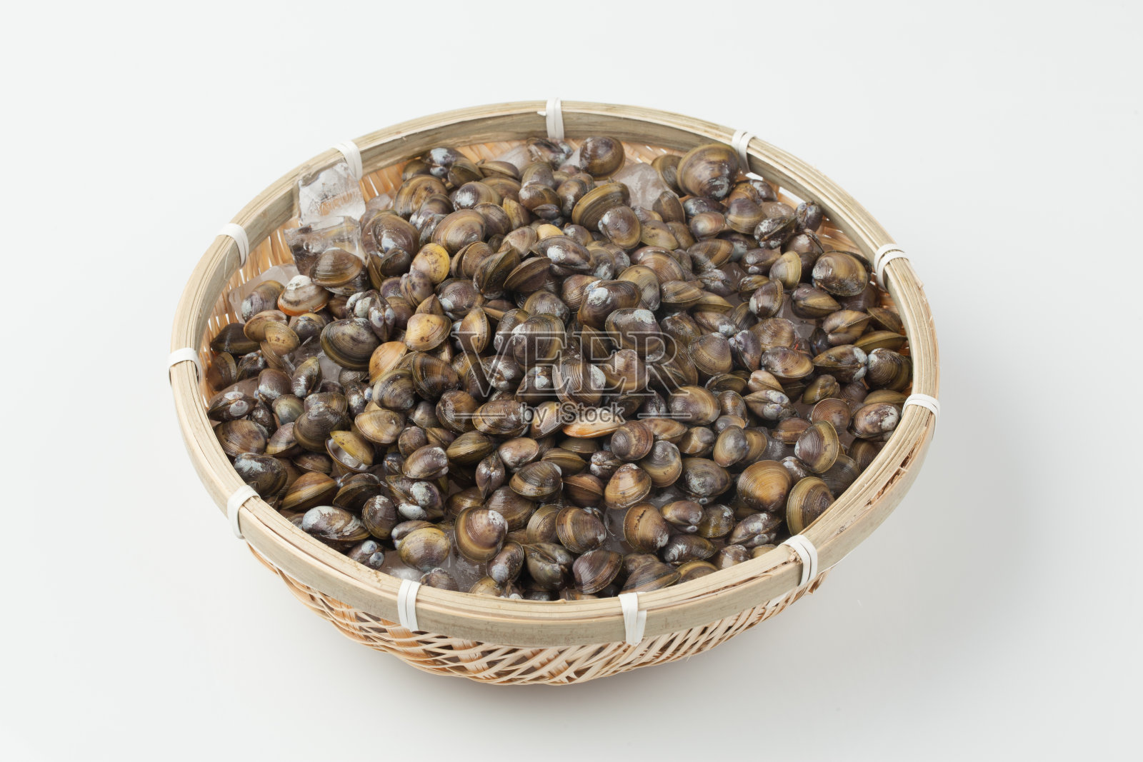 蛤蜊配蛤蜊和蛤蜊。照片摄影图片